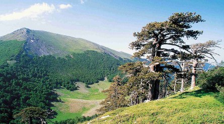 Parco Nazionale del Pollino